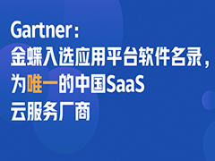 金蝶进入Gartner应用平台最新榜单