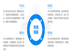 带你了解大火的“专精特新”